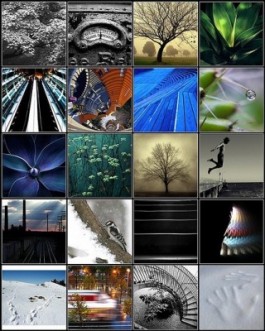 Foto: Nic McPhee (Flickr) Collage van diverse fotobeelden