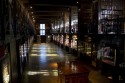 Nottebohmzaal, Erfgoedbibliotheek Hendrik Conscience - Foto: Stefan Tavernier Nottebohmzaal, Erfgoedbibliotheek Hendrik Conscience