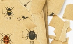 Verzuring van het boekblok